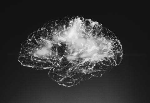 Imagen de un cerebro, destacando las conexiones neuronales, sobre fondo oscuro.